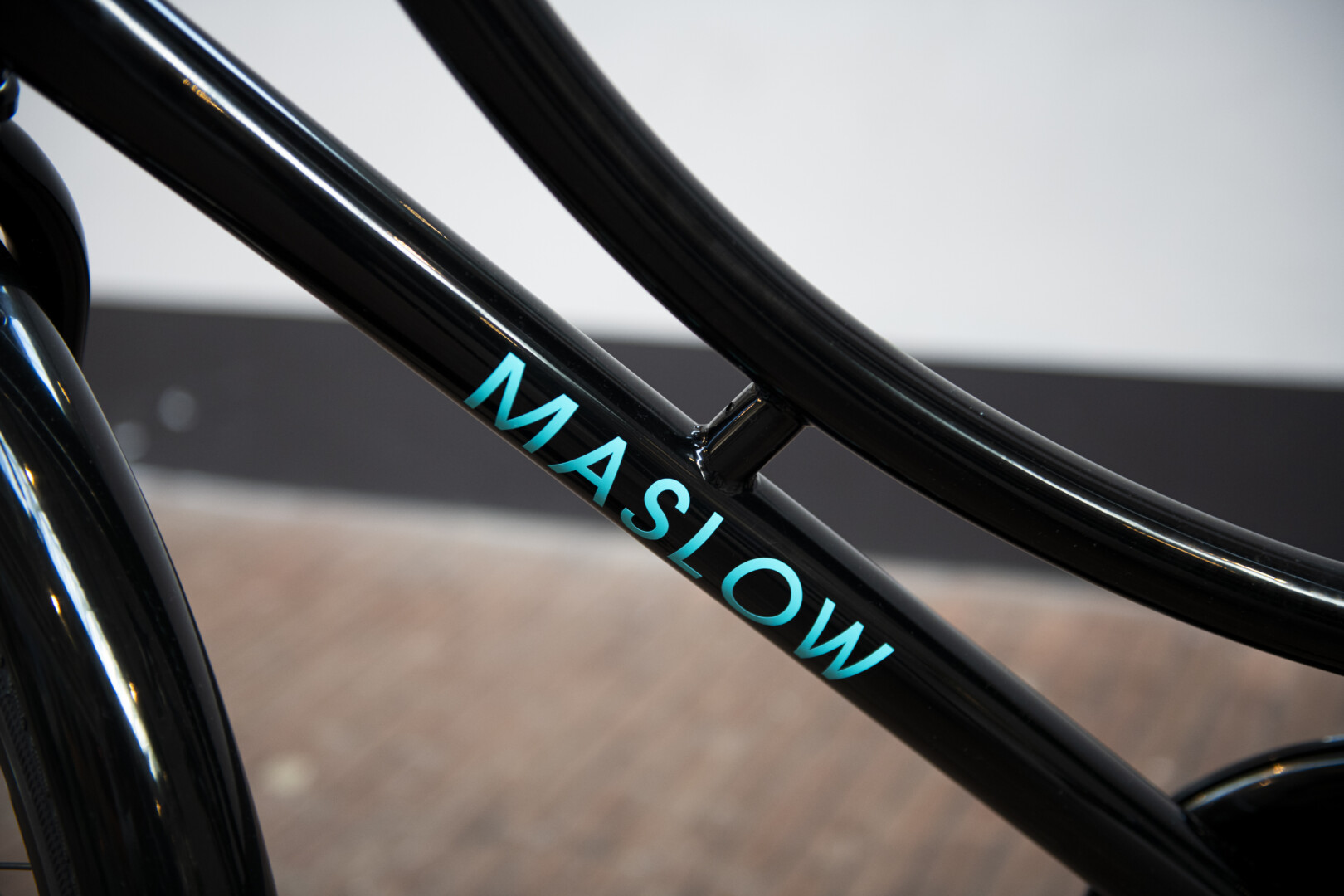 Maslow fiets 1